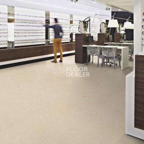 Forbo Marmoleum Decibel on Order 371135 cloudy sand фото 2 | FLOORDEALER